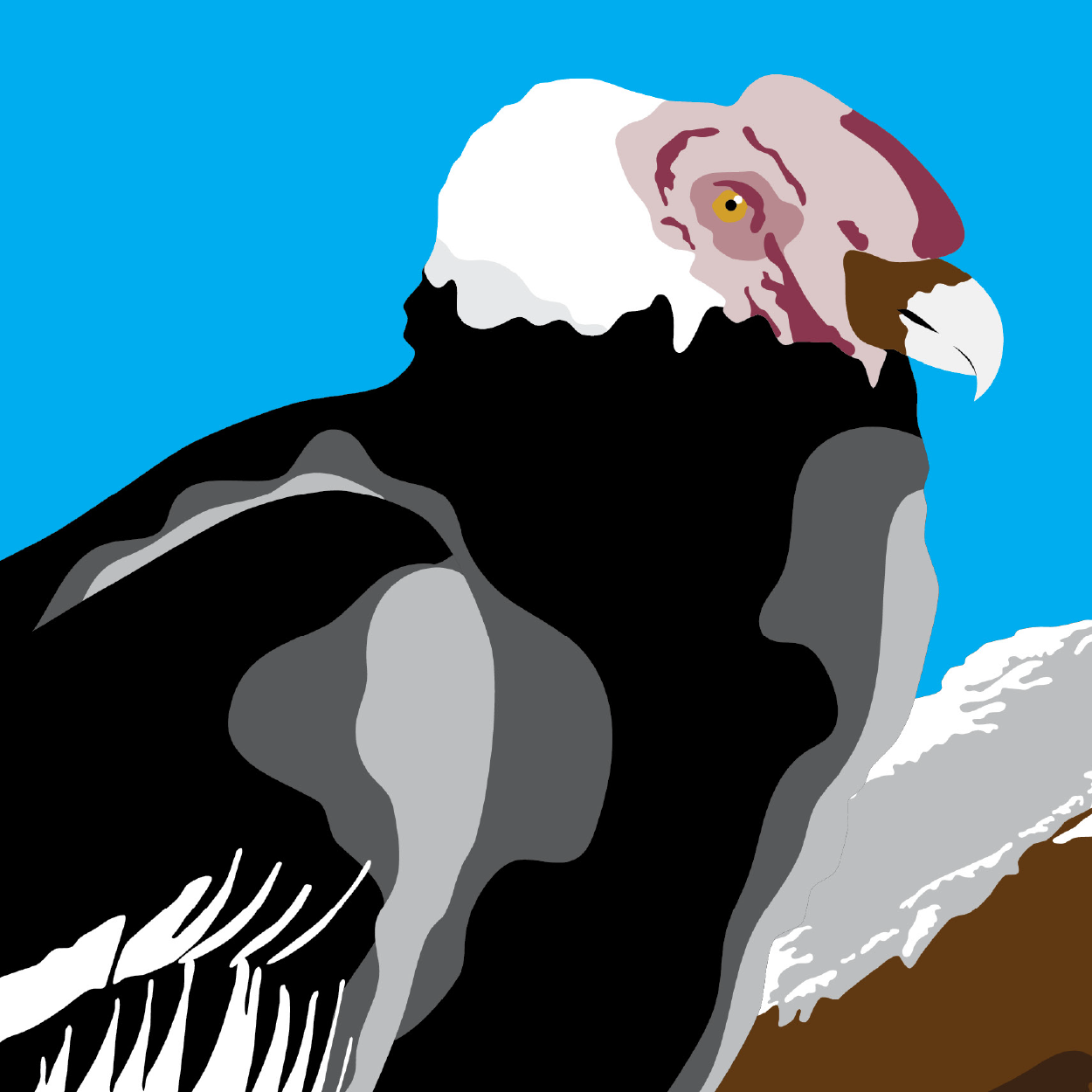 Visit Ecuador